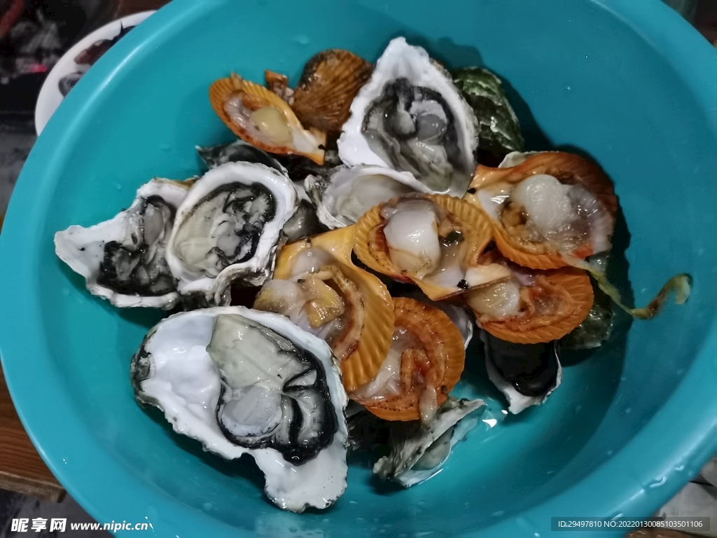 生蚝黄金贝