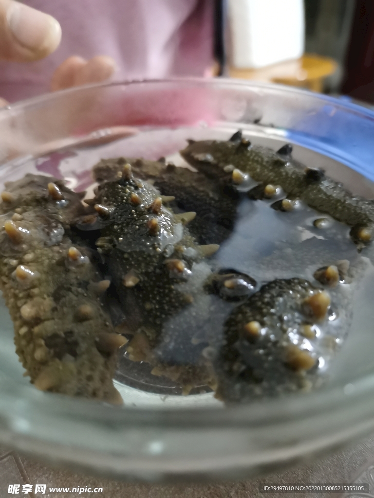 泡发海参