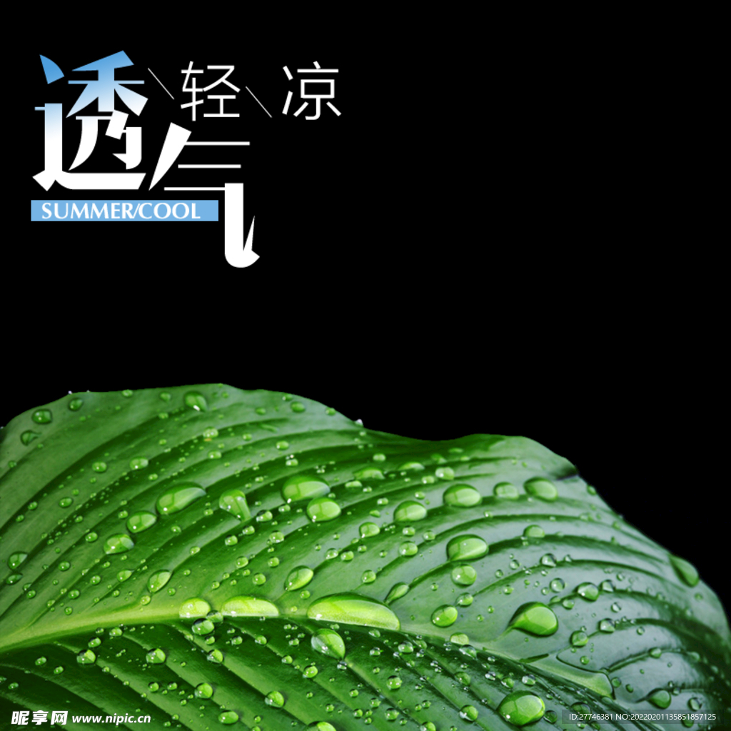  主图 