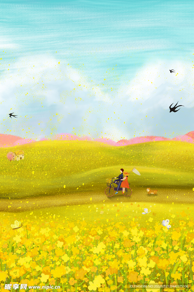 油菜花花田风景插画