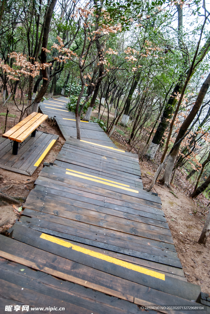 山路