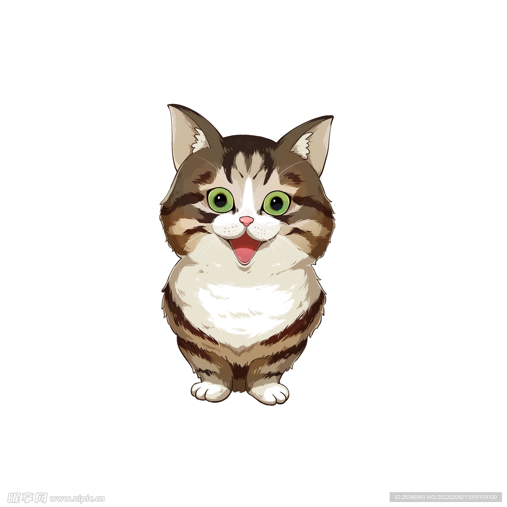 猫