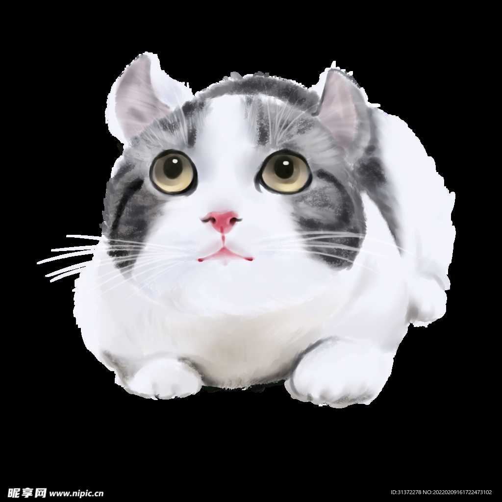 手绘卡通猫图片 