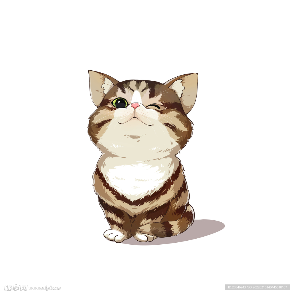 猫