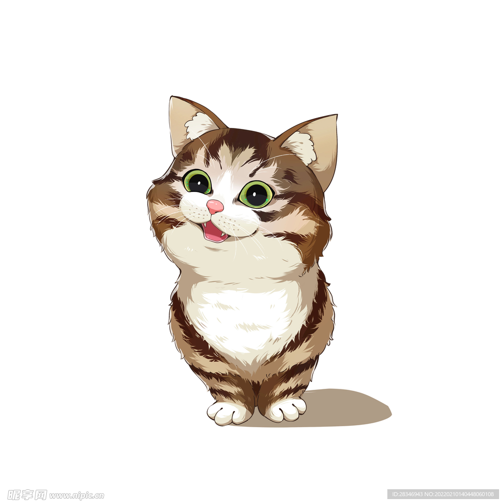 猫