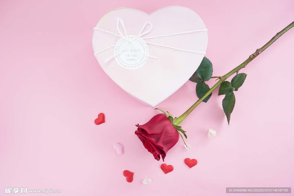 妇女节红色玫瑰花