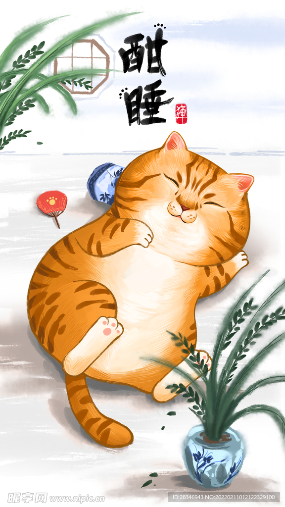 萌主猫            
