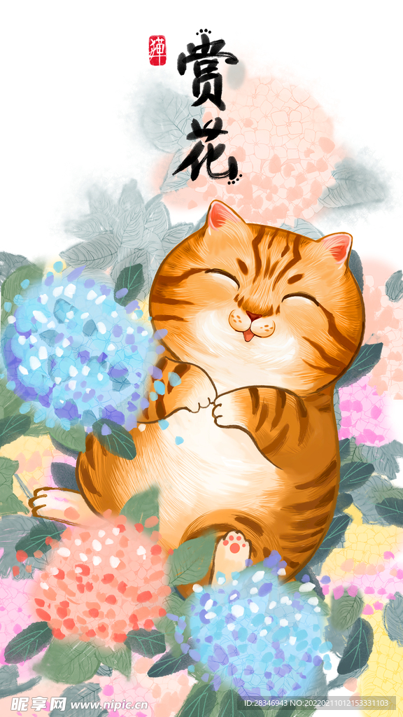 萌主猫            
