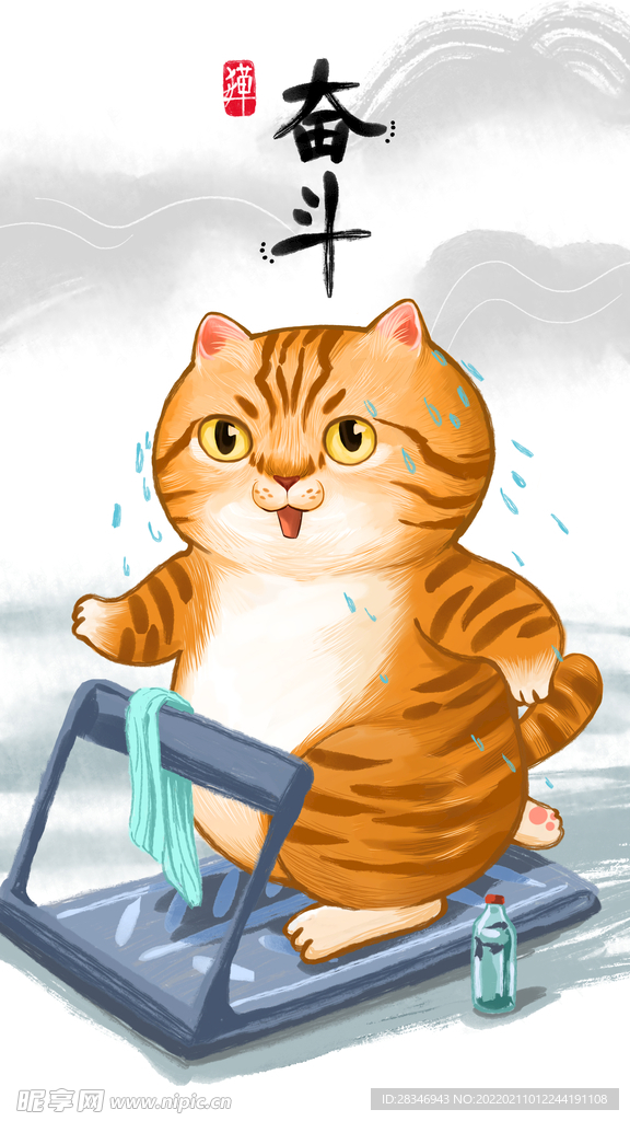 萌主猫            