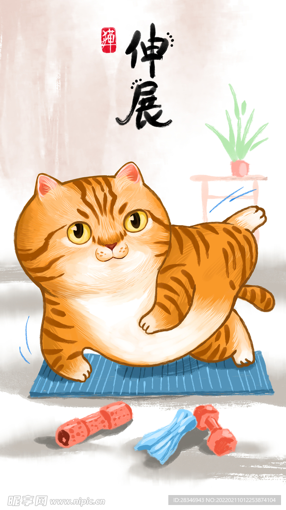 萌主猫            