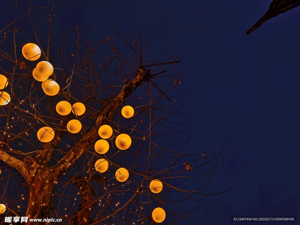 上海豫园元宵灯会花灯和树木