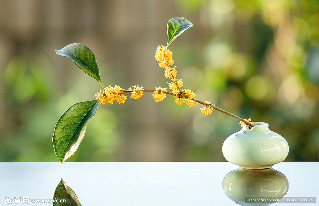 古风花瓶里的桂花枝摄影