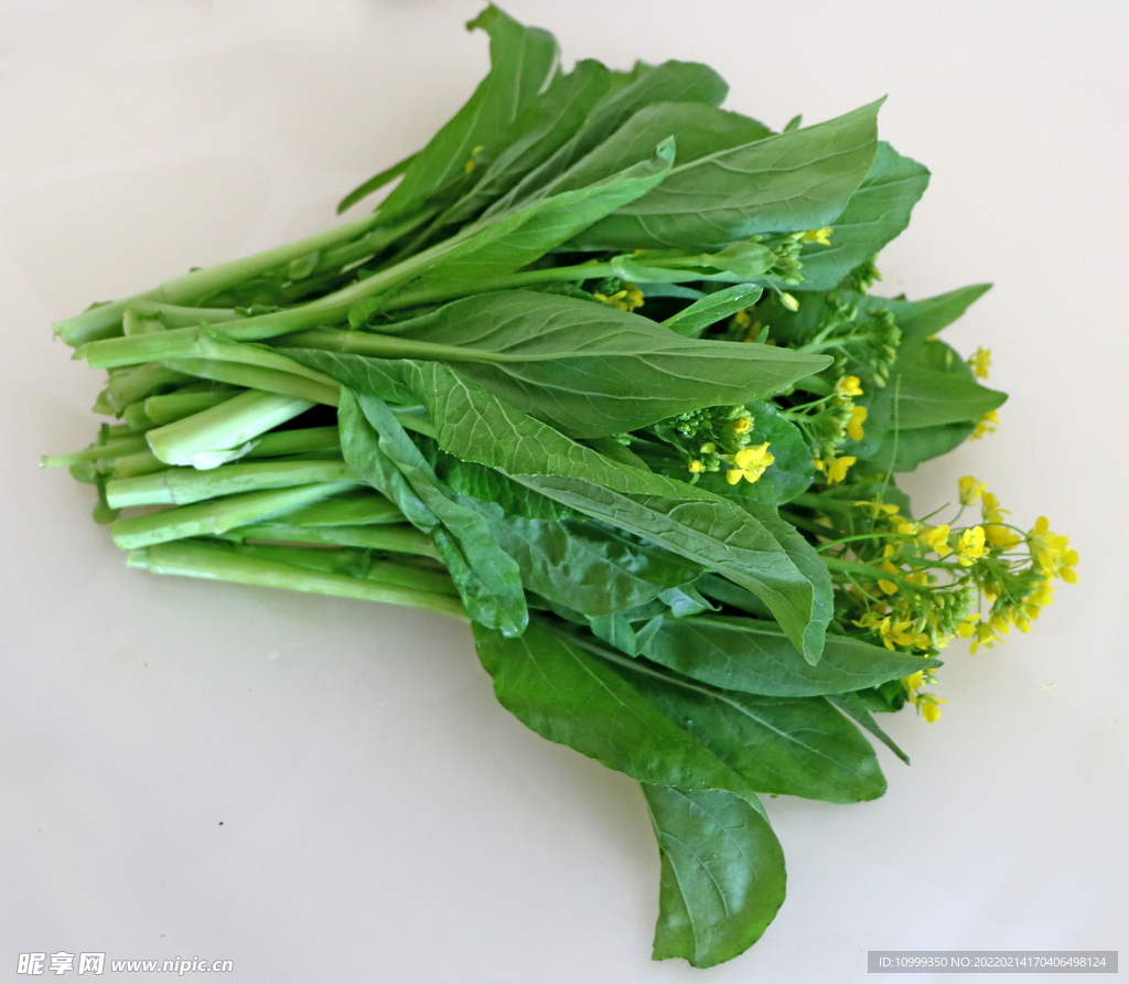 菜心