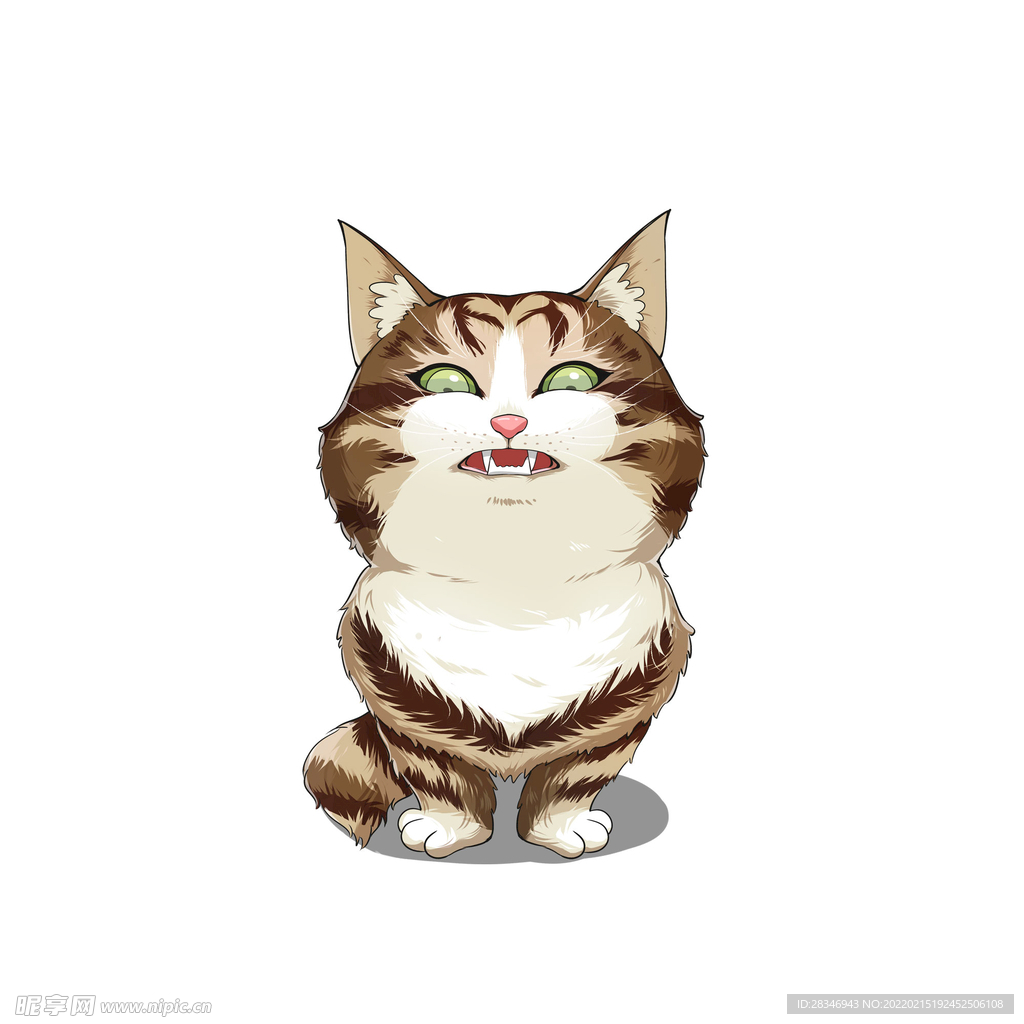 猫