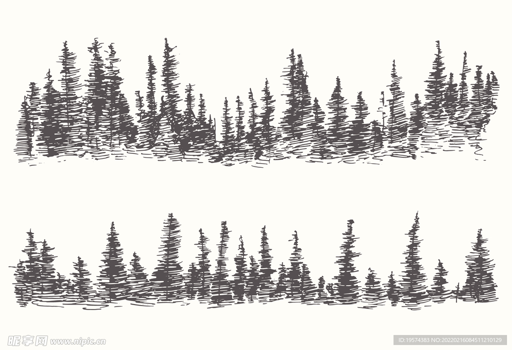 两幅冷杉林的插图