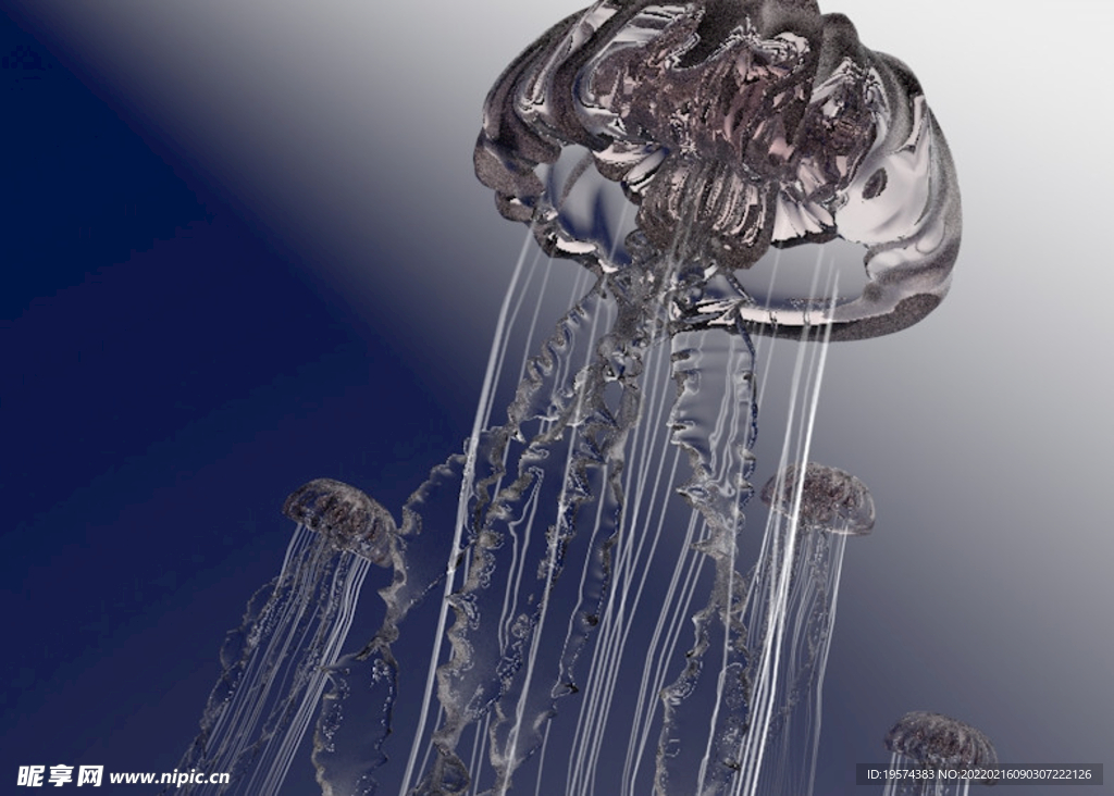 C4D模型水母海洋生物
