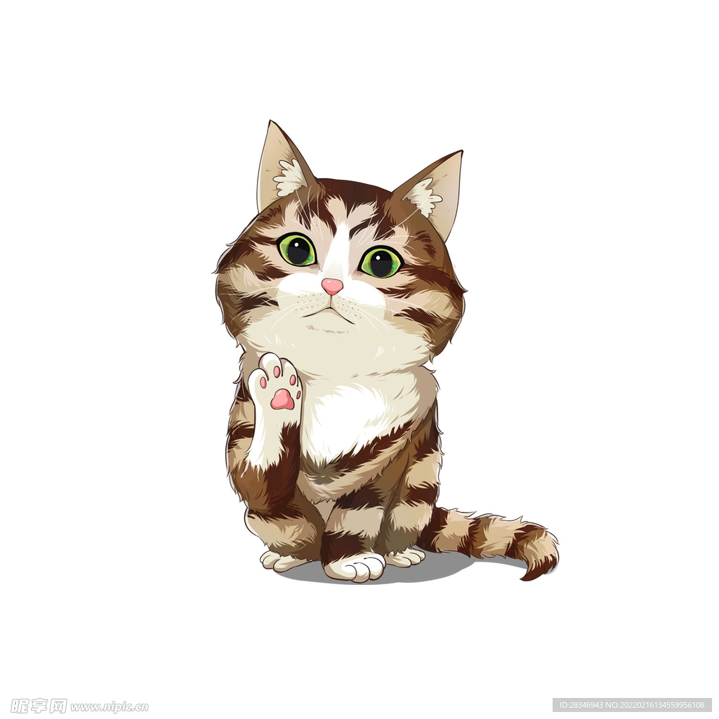 猫   
