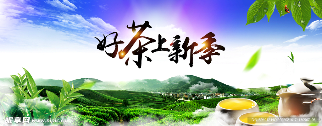 新茶上市
