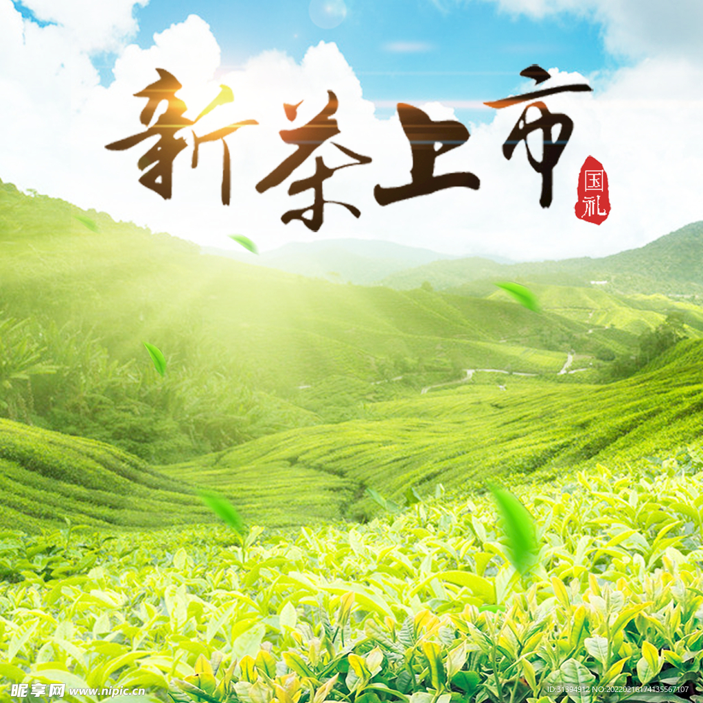 新茶上市