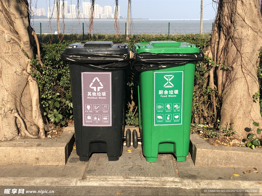 垃圾桶 黑色的 绿色的 图片