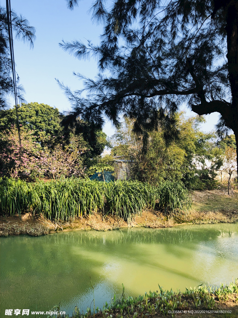 小河边 小区环境 绿化