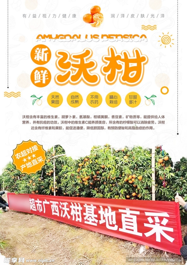 沃柑海报