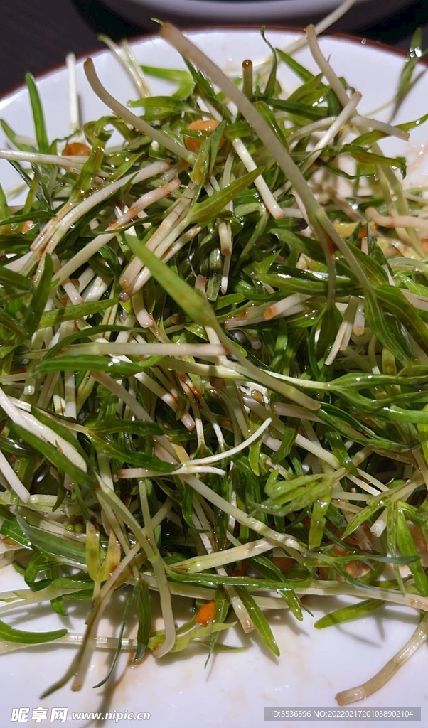 空心菜苗凉拌冷菜 