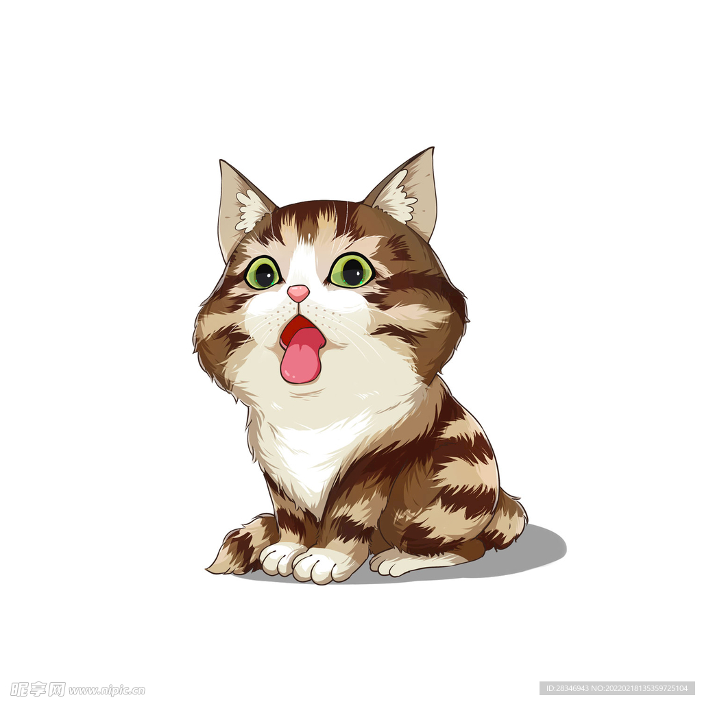 猫              