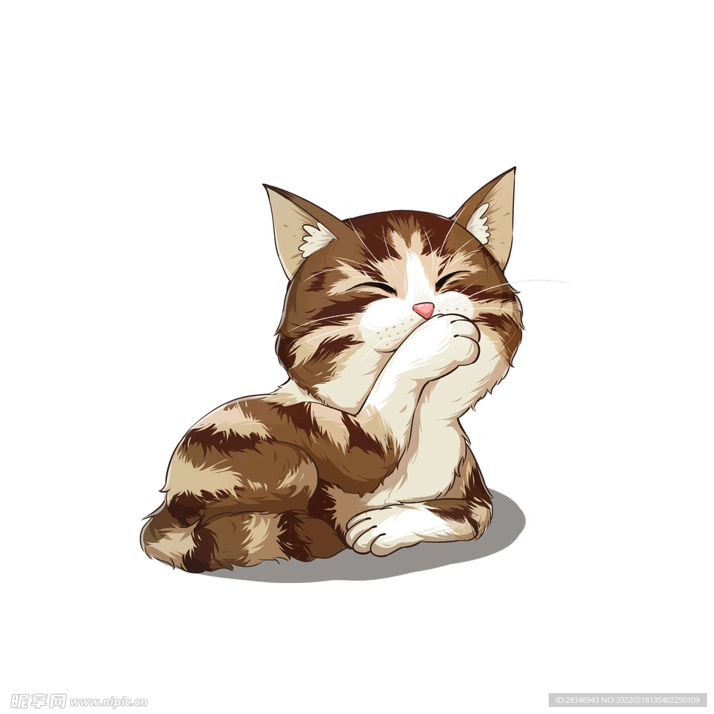 猫              