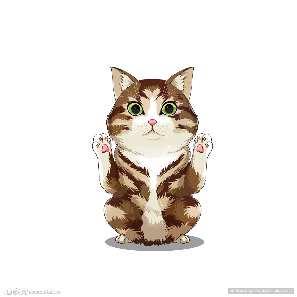猫              