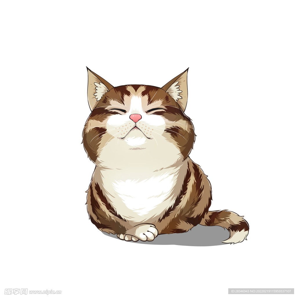 猫              