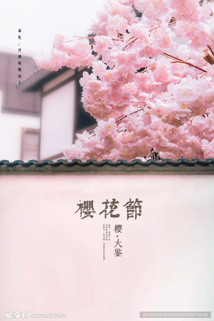 樱花节  春暖花开 春季海报 