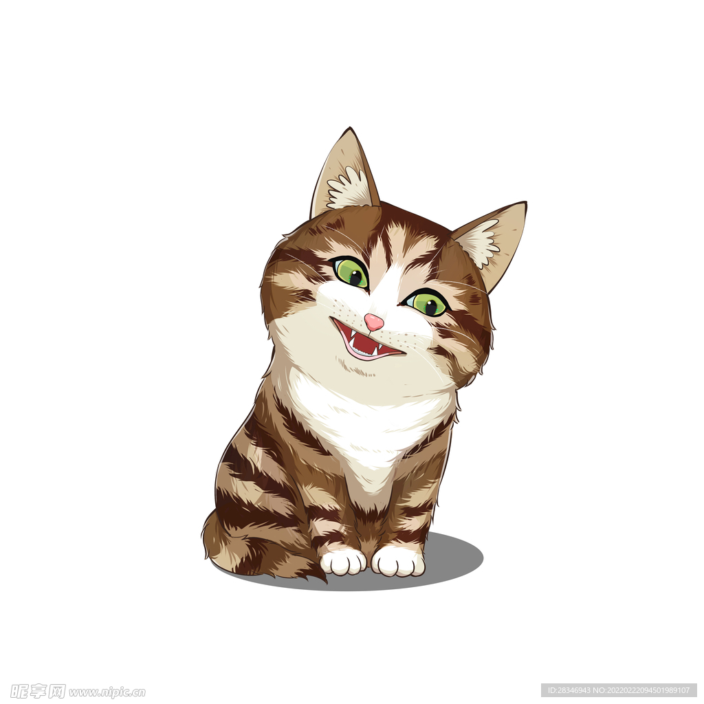 猫              