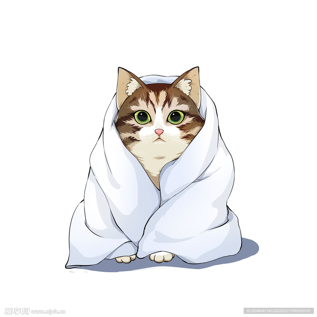 猫              