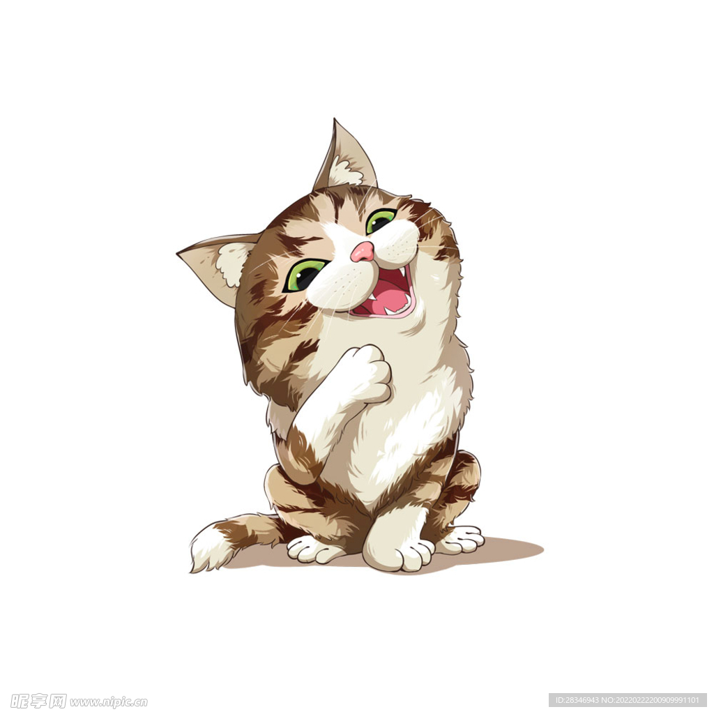 猫              