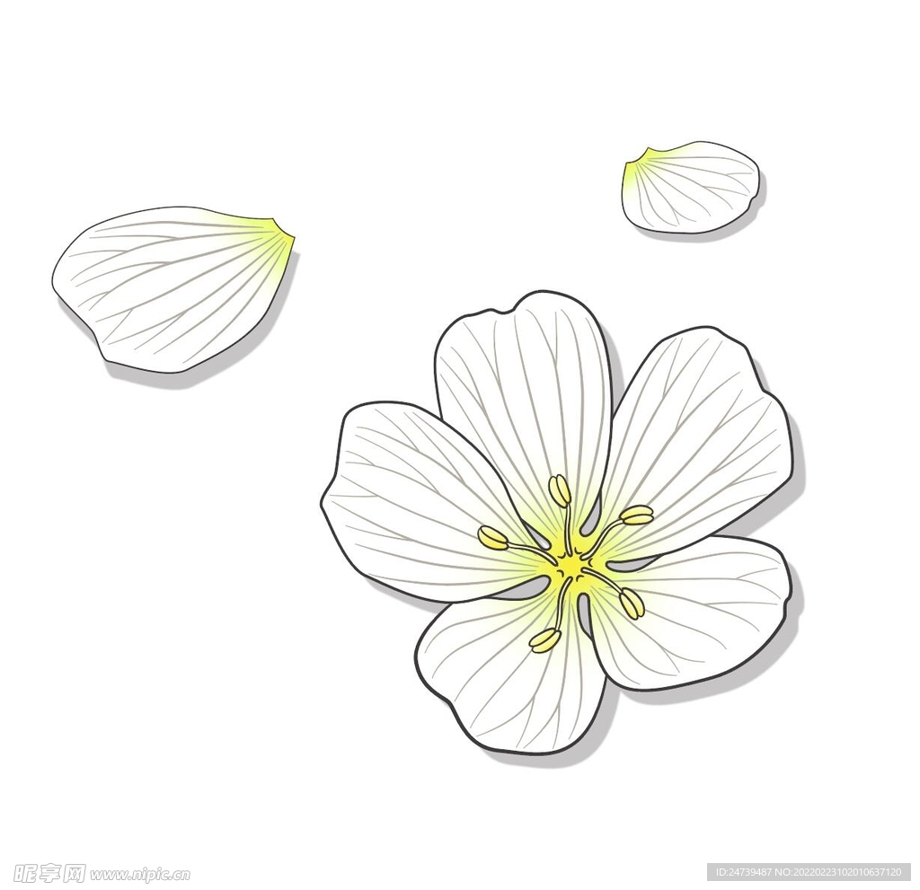 白池花花瓣矢量设计元素