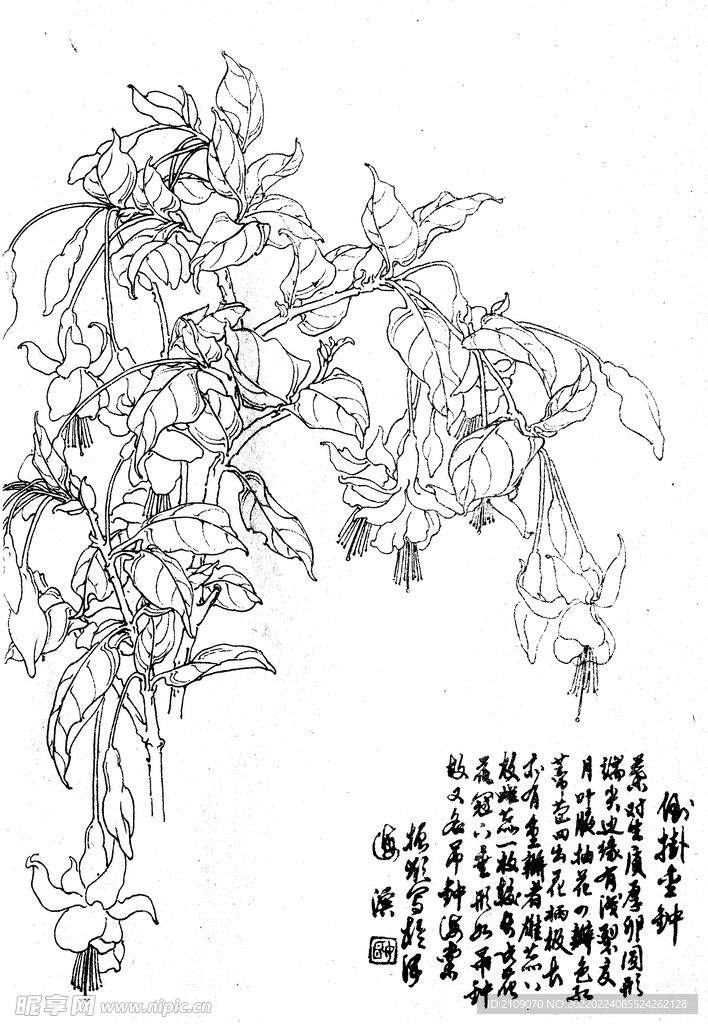 倒挂金钟