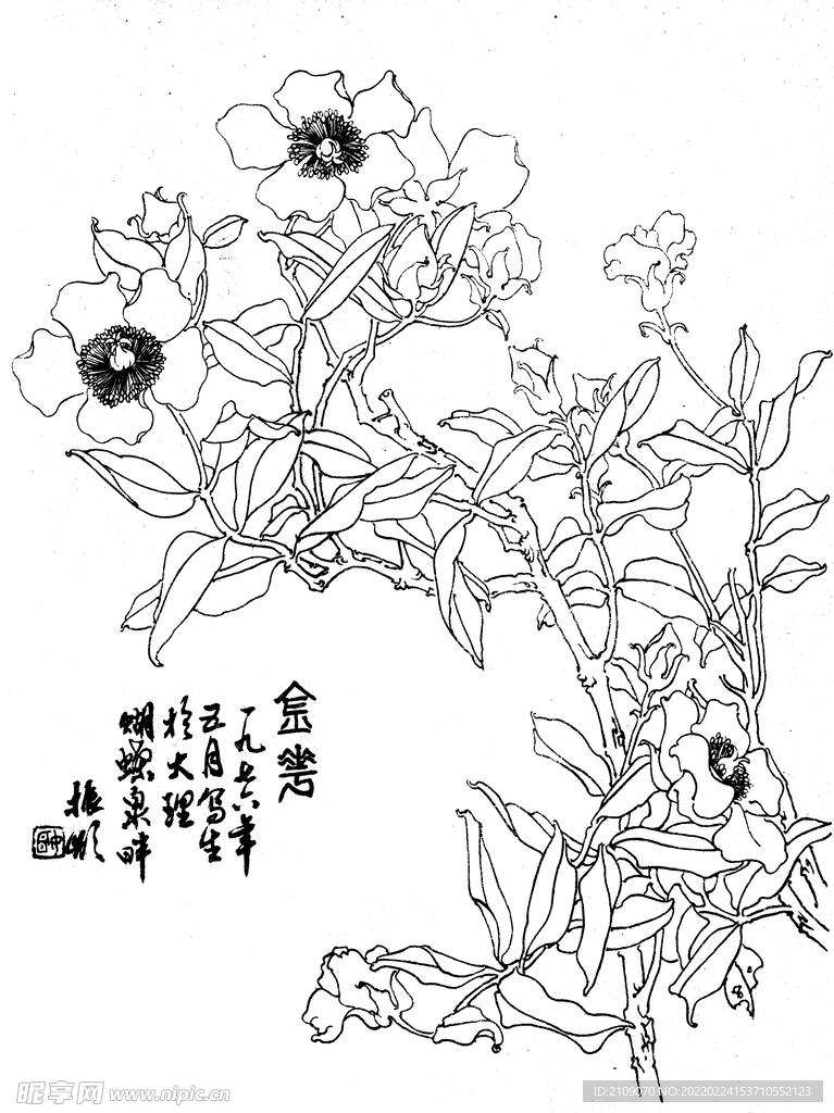 金花