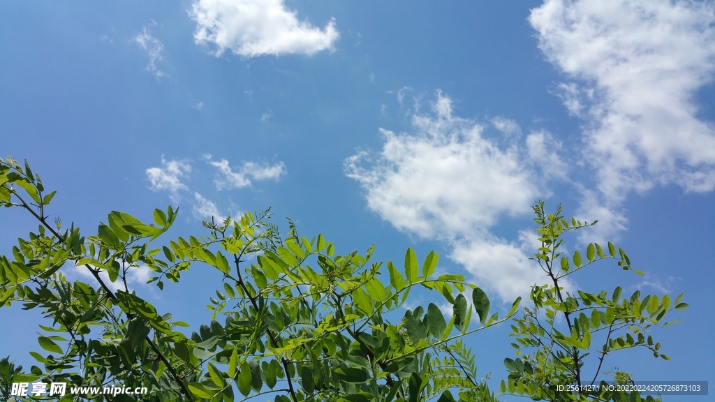 蓝天