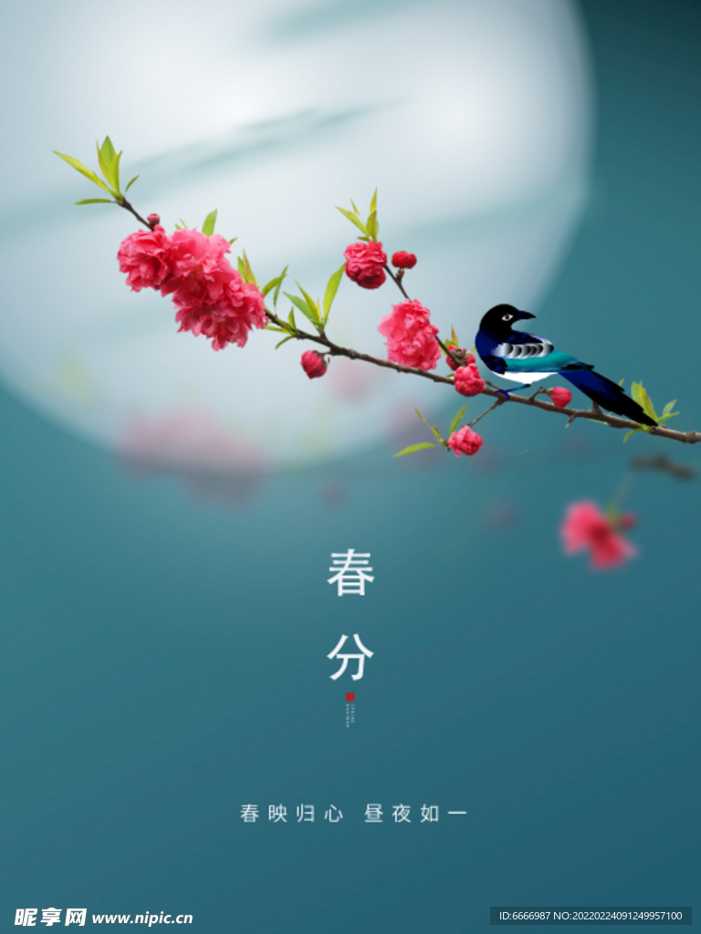  春分