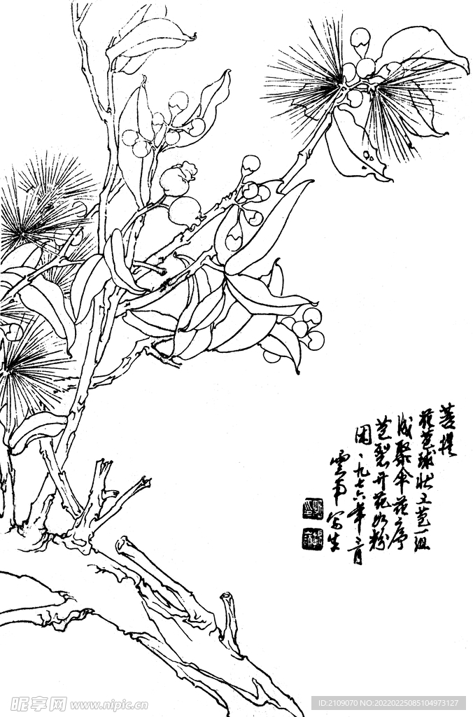 菩提