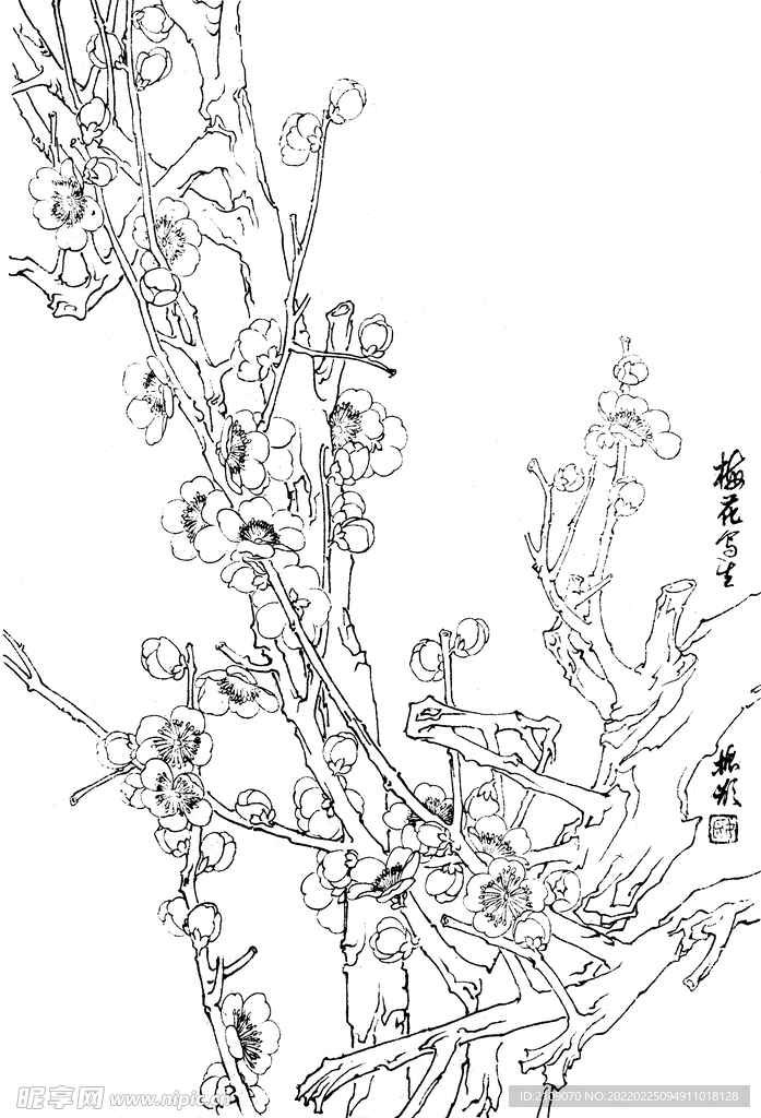 梅花