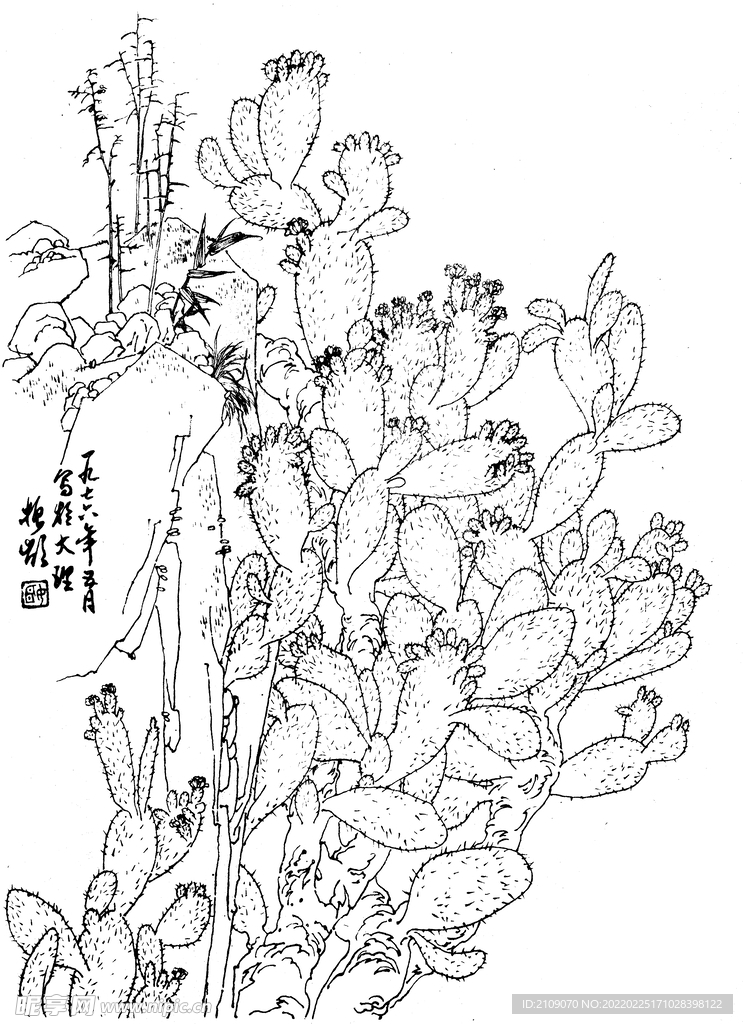 仙人掌