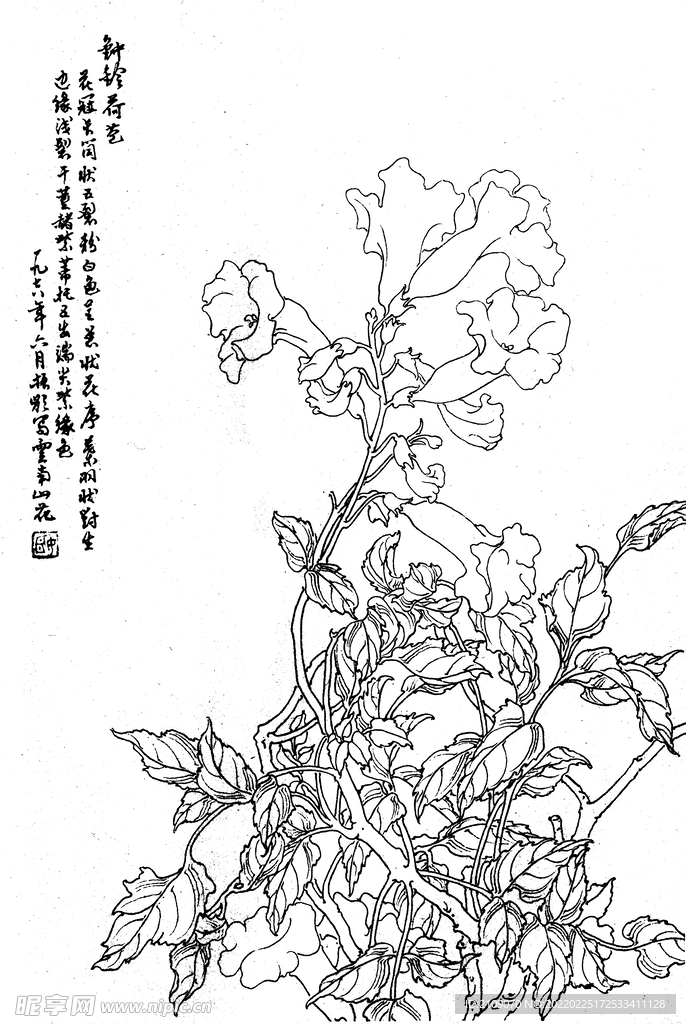 钟玲荷包