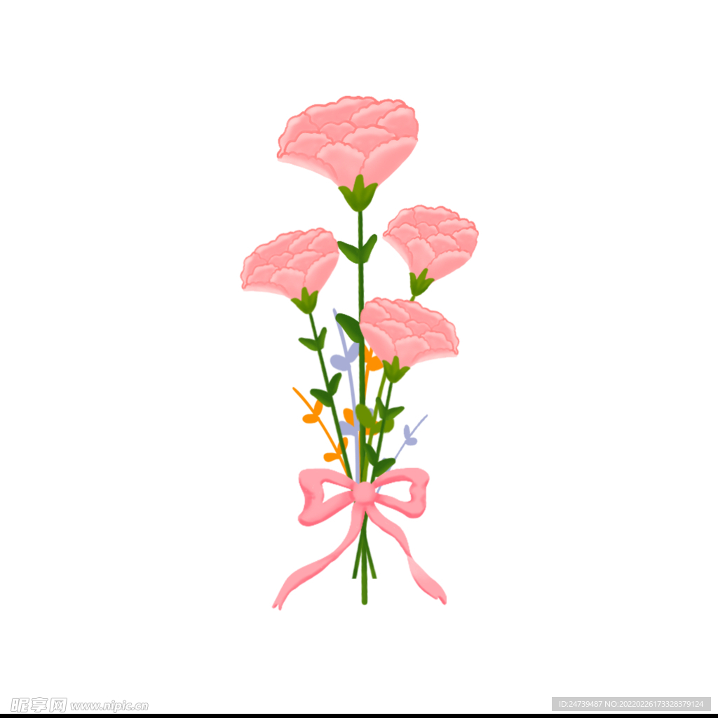 康乃謦 红色 花卉 植物 鲜花