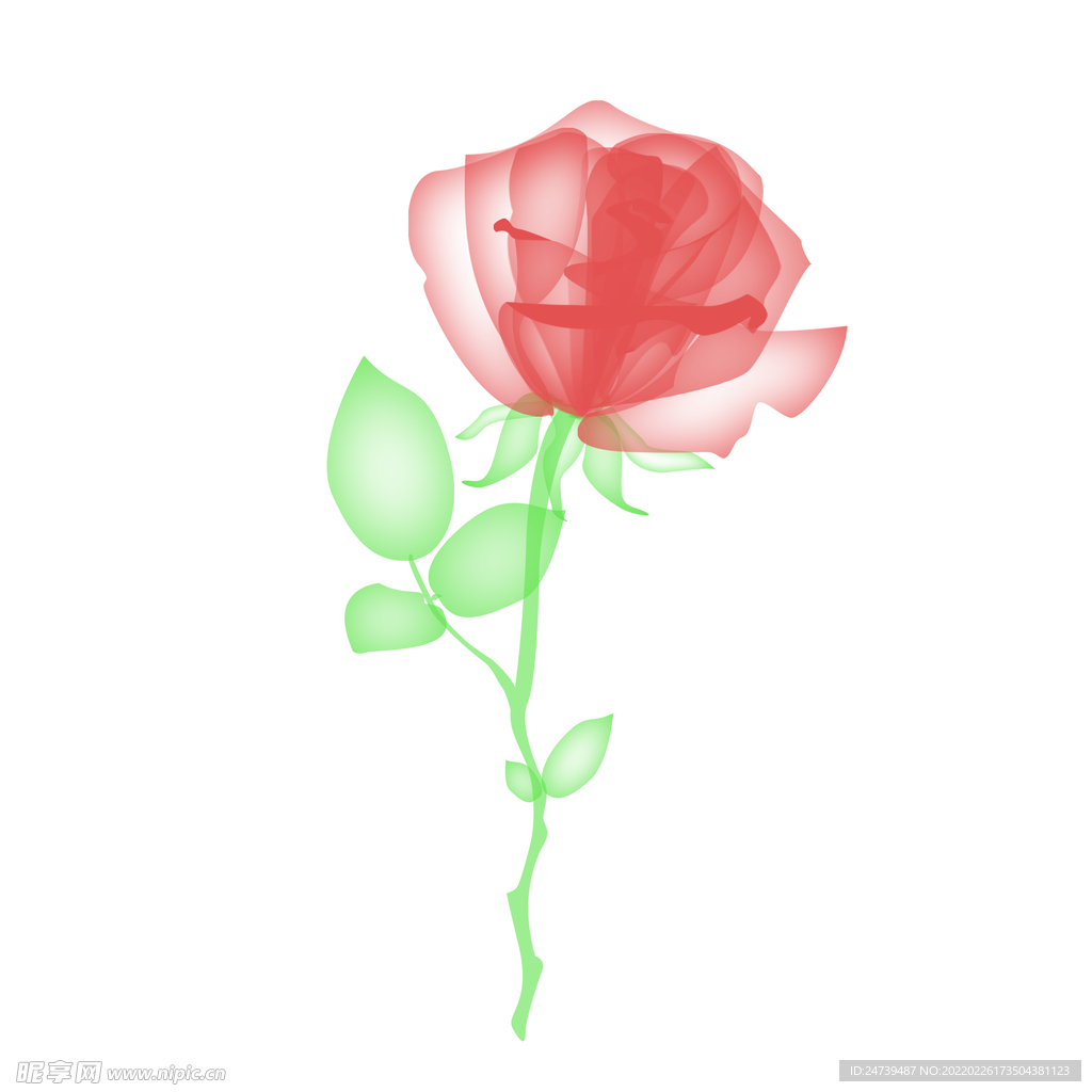 渐变红玫瑰花情人节妇女节广告海