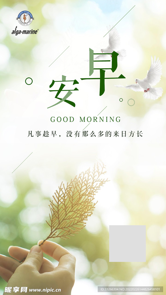 早安