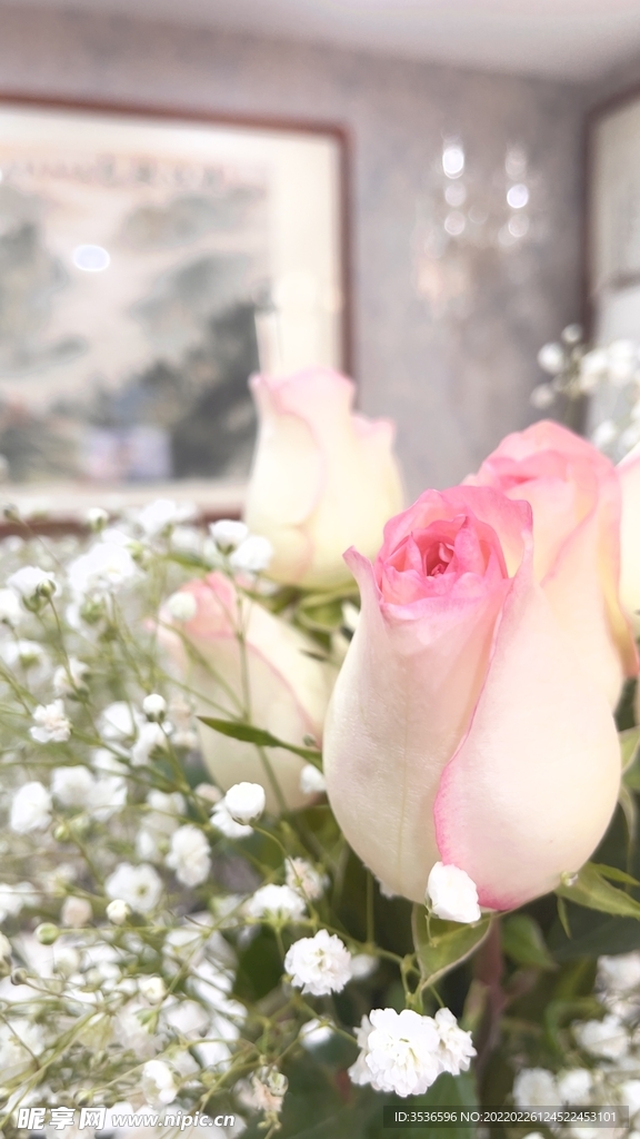 玫瑰花