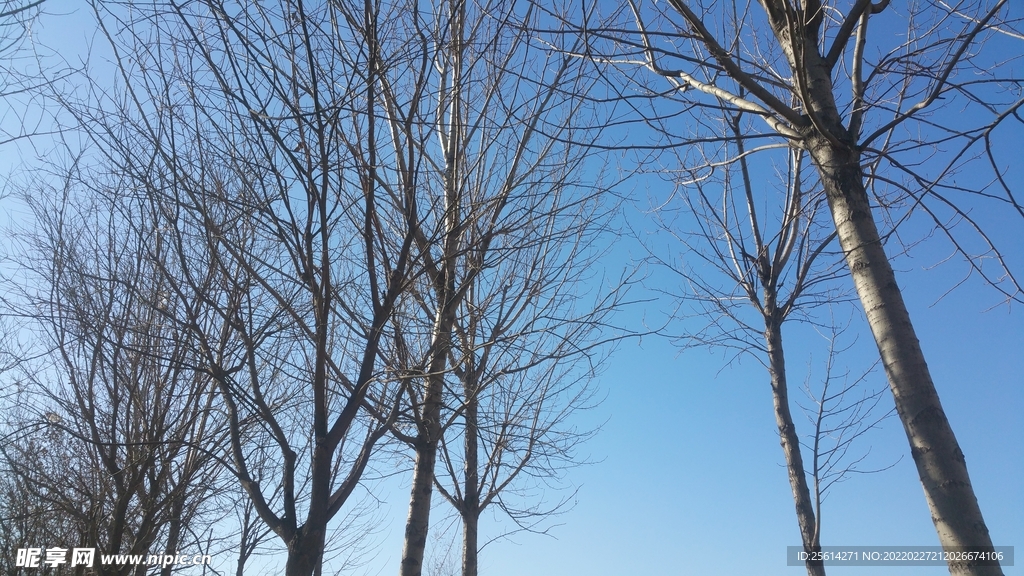 天空