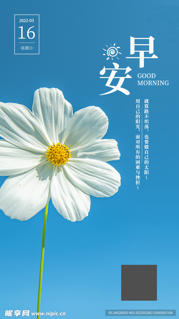 简约鲜花早安海报